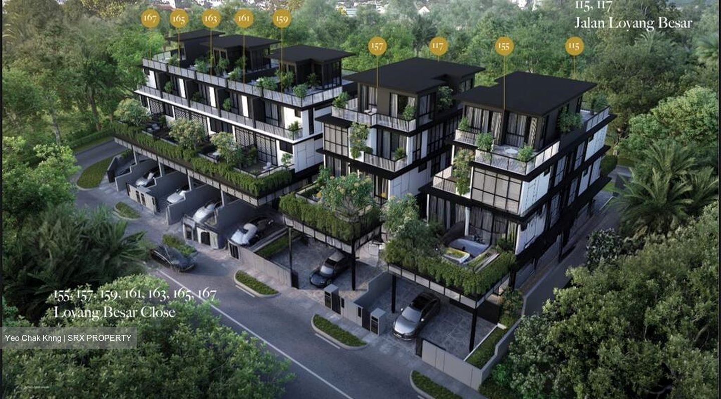 Jalan Loyang Besar (D17), Terrace #495950731